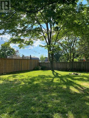 33 John Street, Kawartha Lakes (Fenelon Falls), ON - Outdoor With Backyard