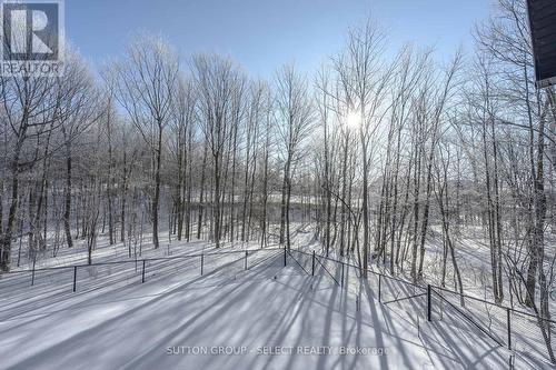 34 Princeton Terrace, London South (South K), ON - Outdoor With View