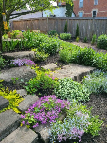 17 First Avenue, Orangeville, ON - Outdoor With Backyard