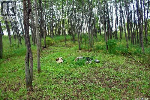 Warkentin Acreage, Blucher Rm No. 343, SK 