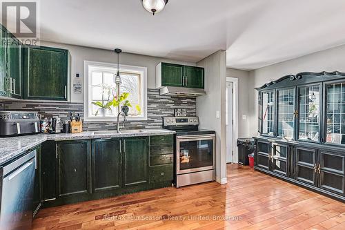 1046 County 124 Road N, Clearview (Singhampton), ON - Indoor Photo Showing Kitchen With Double Sink
