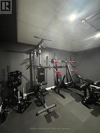 bonus - exercise room - 