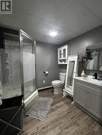 lower level 3pc bathroom - 