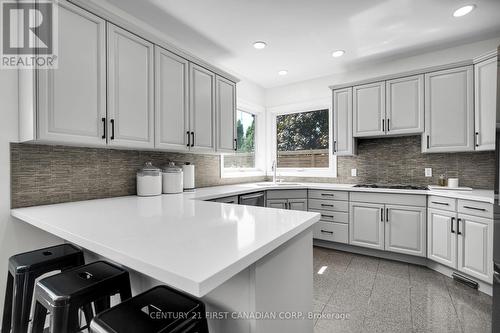 768 Franklinway Crescent, London North (North R), ON - Indoor Photo Showing Kitchen With Upgraded Kitchen