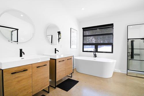 Salle de bains - 57 Ch. Du Poisson-Blanc, Notre-Dame-Du-Laus, QC - Indoor Photo Showing Bathroom