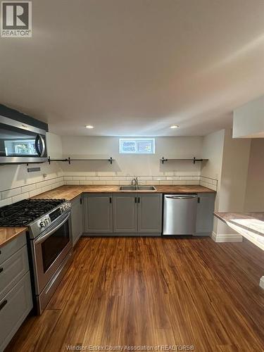 4132 Mount Royal Unit# Lower, Windsor, ON - Indoor Photo Showing Kitchen With Stainless Steel Kitchen With Double Sink
