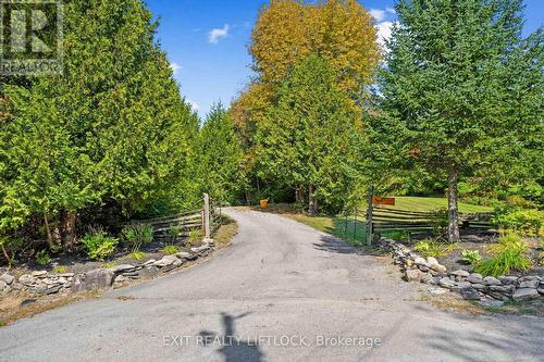 169 Dutch Line Road W, Kawartha Lakes (Bobcaygeon), ON - Outdoor