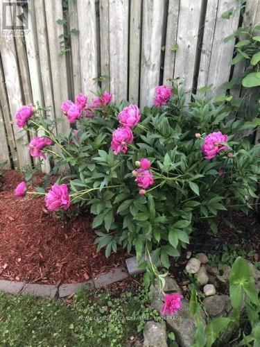408 Brookhaven Place, London East (East A), ON - Indoor Photo Showing Bathroom