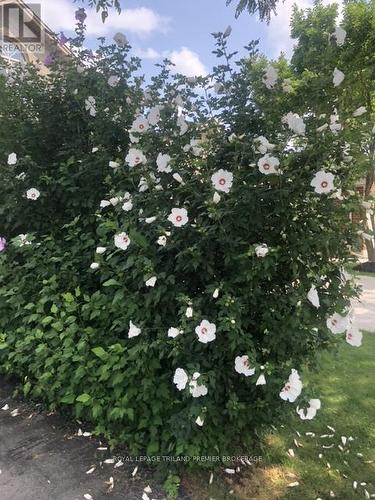 408 Brookhaven Place, London East (East A), ON - Outdoor