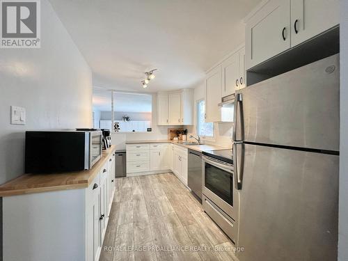 14 South Park Street, Quinte West (Frankford Ward), ON - Indoor Photo Showing Kitchen With Double Sink