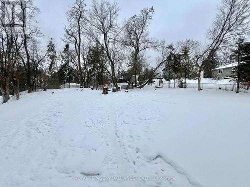 14 South Park Street, Quinte West (Frankford Ward), ON - Outdoor