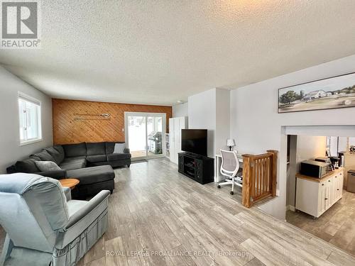14 South Park Street, Quinte West (Frankford Ward), ON - Indoor Photo Showing Living Room