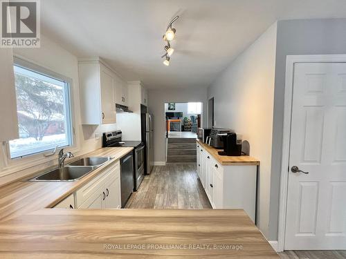 14 South Park Street, Quinte West (Frankford Ward), ON - Indoor Photo Showing Kitchen With Double Sink