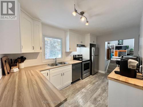 14 South Park Street, Quinte West (Frankford Ward), ON - Indoor Photo Showing Kitchen With Double Sink