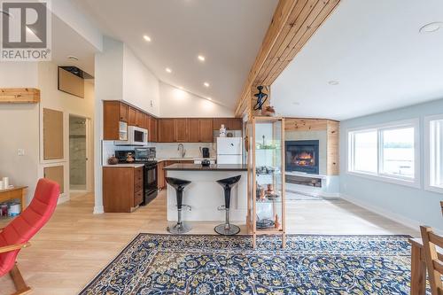 75 Houston Lane, Tweed (Hungerford (Twp)), ON - Indoor With Fireplace