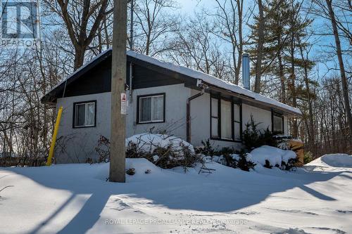 75 Houston Lane, Tweed (Hungerford (Twp)), ON - Outdoor