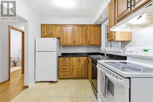 99 Susan Avenue, London East (East D), ON - Indoor Photo Showing Kitchen With Double Sink