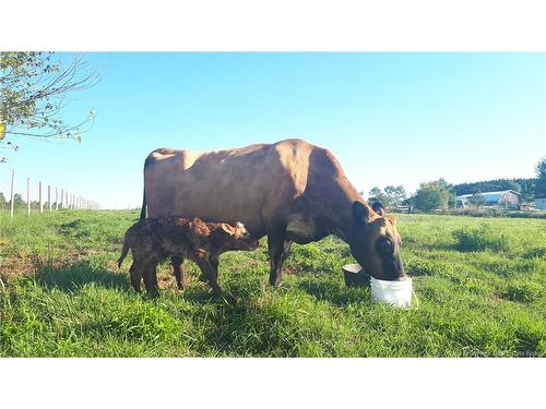 5356 Route 114, Hopewell Hill, NB 