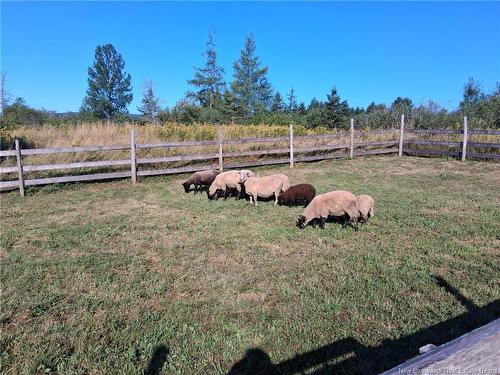 5356 Route 114, Hopewell Hill, NB 