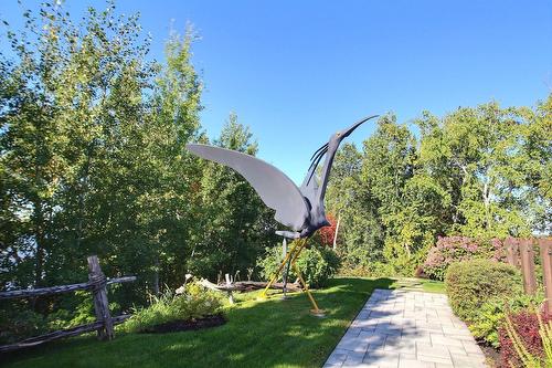 Land/Lot - 101 Rue Des Cormorans, Val-D'Or, QC - Outdoor