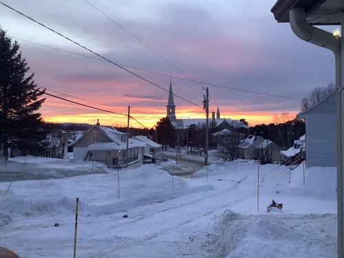 Vue d'ensemble - 325 4E Avenue, Saint-Paul-De-Montminy, QC - Outdoor With View