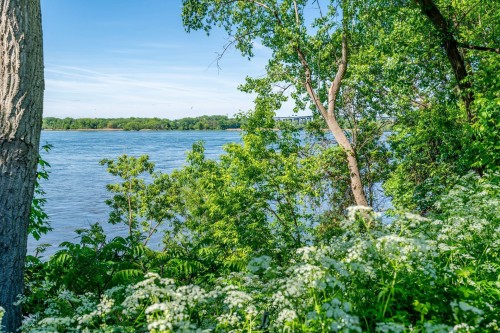 Accès au plan d'eau - 9-9267 Boul. Lasalle, Montréal (Lasalle), QC - Outdoor With Body Of Water With View