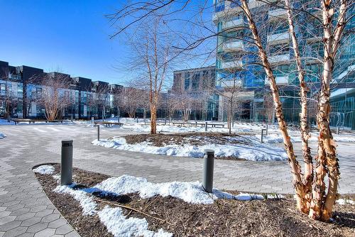 Jardin - 3009-1400 Boul. René-Lévesque O., Montréal (Ville-Marie), QC - Outdoor