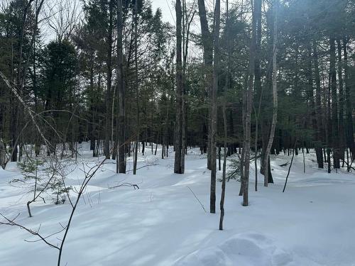 Exterior - 638 Ch. Régimbald, Saint-Donat, QC 