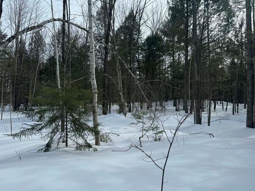 Exterior - 638 Ch. Régimbald, Saint-Donat, QC 