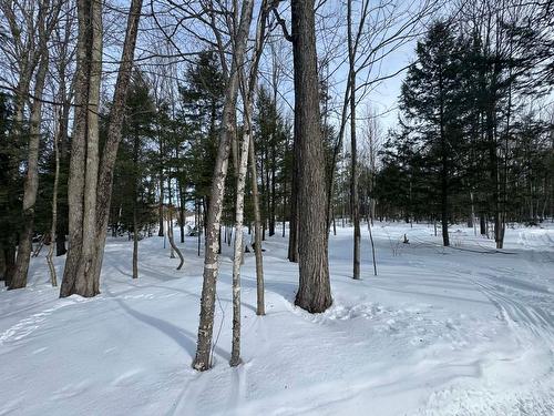 Exterior - 638 Ch. Régimbald, Saint-Donat, QC 
