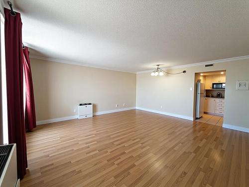 Salon - 1507-295 Boul. St-Joseph, Gatineau (Hull), QC - Indoor