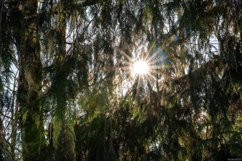 12-10750 Central Lake Rd, Port Alberni, BC 