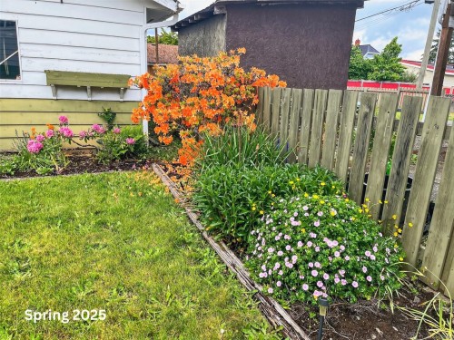 3574 9Th Ave, Port Alberni, BC 