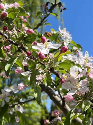 1560 Joan Ave, Crofton, BC 