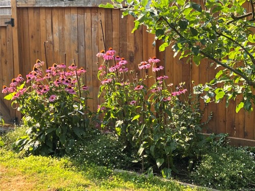 1560 Joan Ave, Crofton, BC 