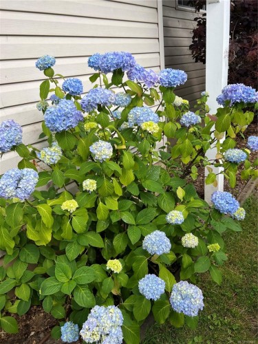 1560 Joan Ave, Crofton, BC 