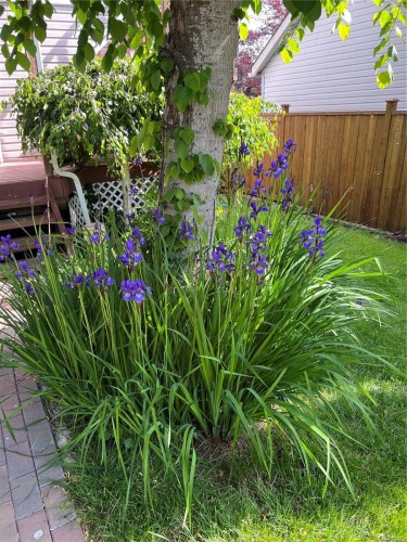 1560 Joan Ave, Crofton, BC 