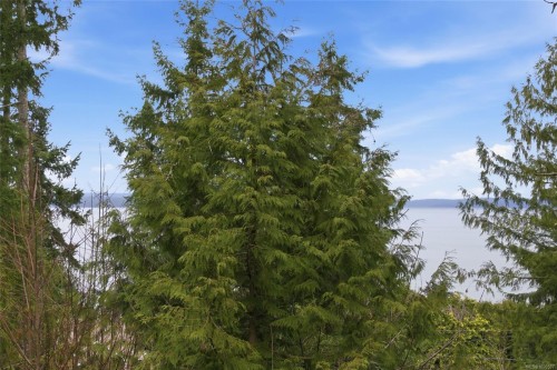 3589 Clifcoe Rd, Ladysmith, BC 