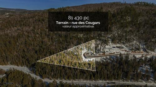 Overall view - Rue Des Cougars, Saint-Côme, QC 