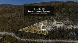 Rue des Cougars  Saint-Côme, QC J0K 2B0