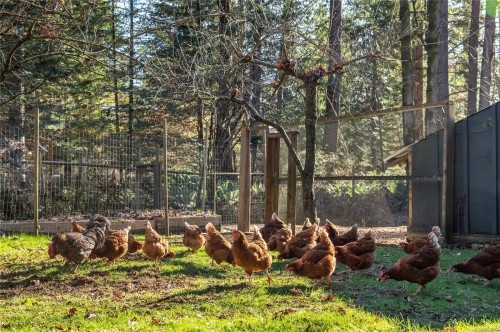 2404 Glenmore Rd, Campbell River, BC 