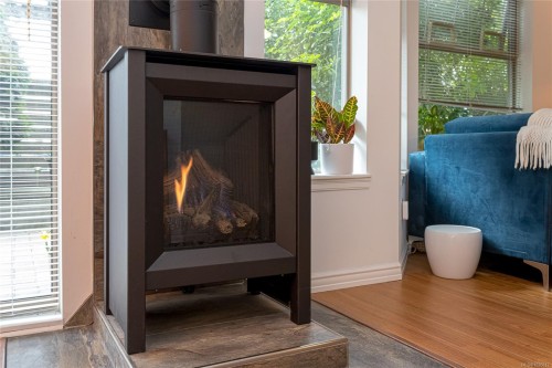 101-935 Johnson St, Victoria, BC - Indoor With Fireplace