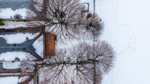 88 Crocus Drive, Toronto, ON - Outdoor With View