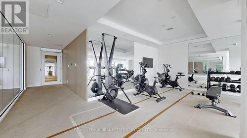 213 - 1195 The Queensway, Toronto, ON - Indoor Photo Showing Gym Room