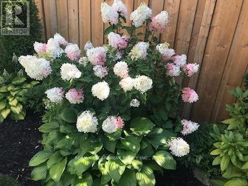 8 Elmore Drive N, Hamilton, ON - 