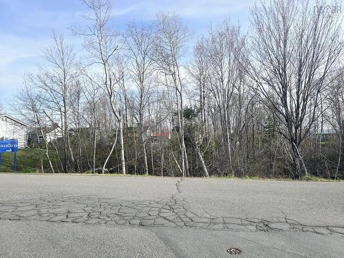 Lot Belmont Avenue, Stellarton, NS 