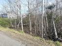 Lot Belmont Avenue, Stellarton, NS 