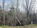 Lot Belmont Avenue, Stellarton, NS 