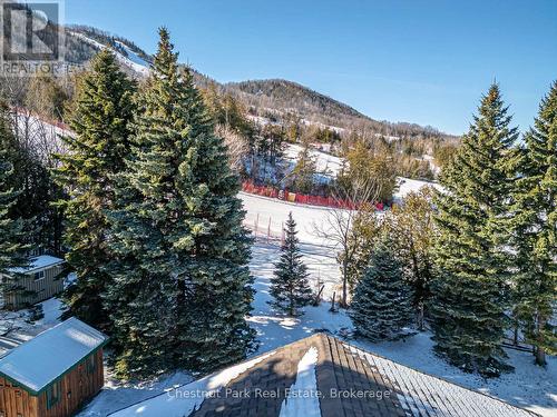 Walk out your back yard and catch the chair lift - 160 Wensley Drive, Blue Mountains, ON - Outdoor With View