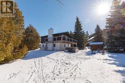 View of the back yard - 